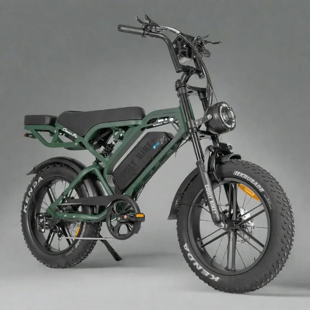 Why the Cooly E-bike Beach Cruiser is the Only Transport Your Family Needs - Cooly Bikes