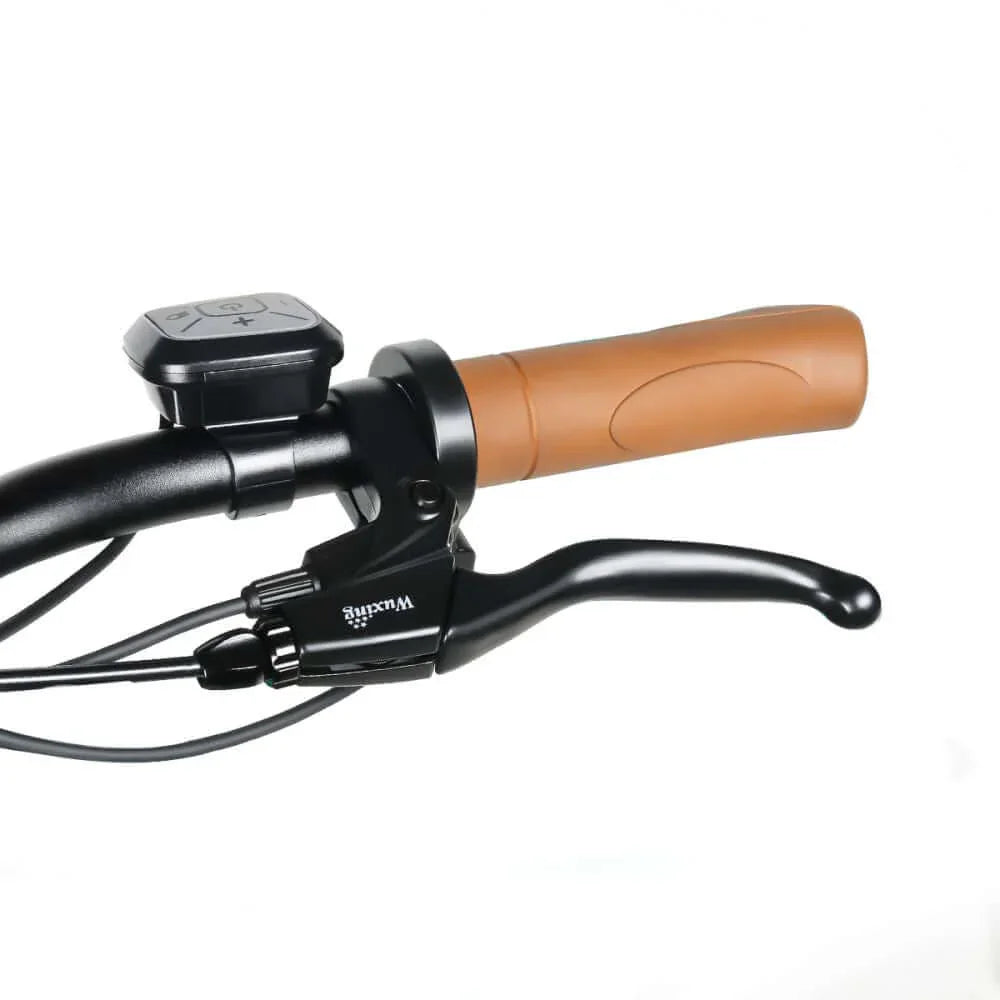 Cooly Classic Electric Bike - Cooly Bikes