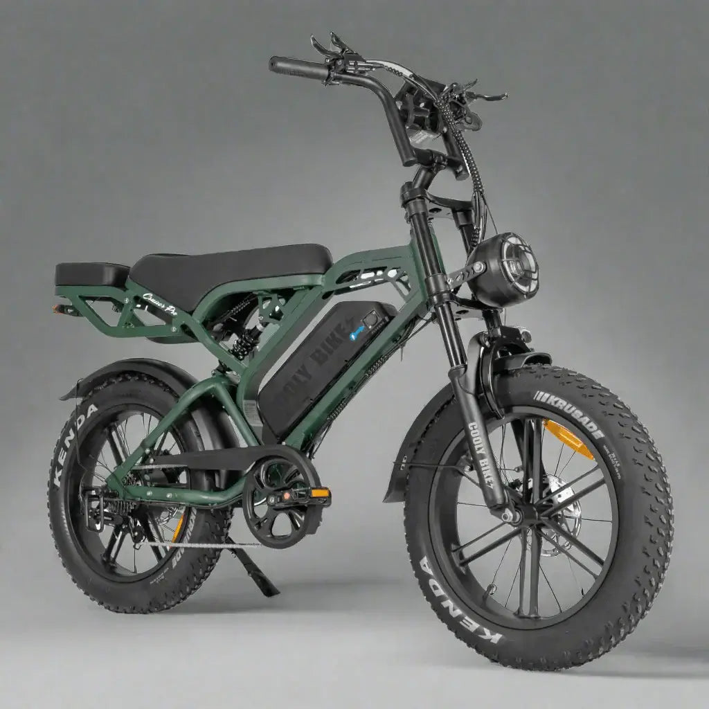 Why the Cooly E-bike Beach Cruiser is the Only Transport Your Family Needs