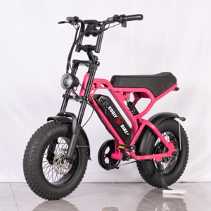 Cooly Grom  Kids Electric Bike Gold Coast Australia 