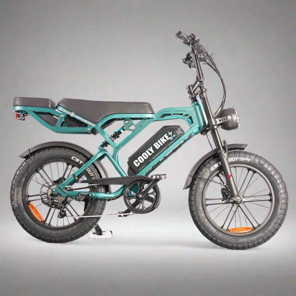 The Family E-Bike Revolution: A New Era of Family Transport - Cooly Bikes