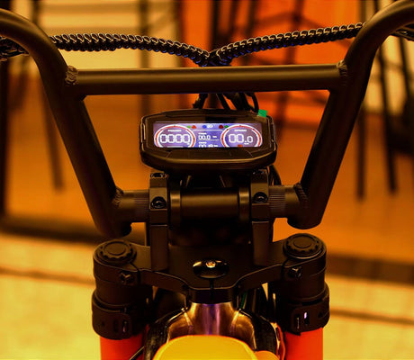 Electric Bike (Ebike) PAS vs. Throttle Control: Understanding the Differences & Australian Laws - Cooly Bikes