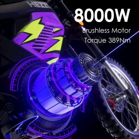 Brushless Motor Torque 389Nm