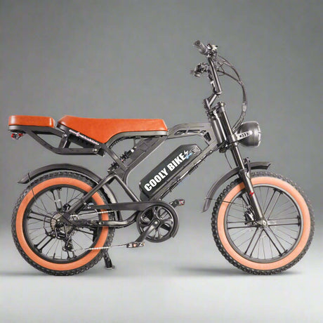 Cooly Cruiser Pro - Premium Electric Bike Excellence - Cooly Bikes