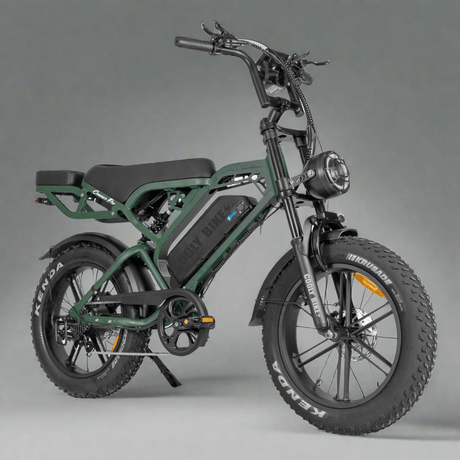 Cooly Cruiser Pro - Premium Electric Bike Excellence - Cooly Bikes